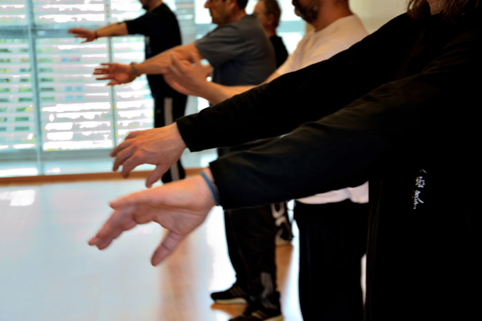 Foto del 1er Taller de Hun Yuan Tai Chi